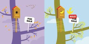 spring-home-selling bird houses